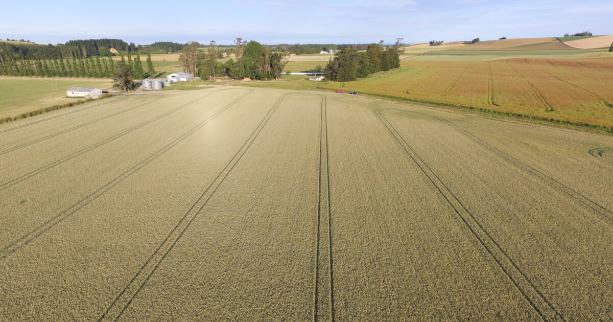 FAR Research | Overhead cost calculator for arable growers