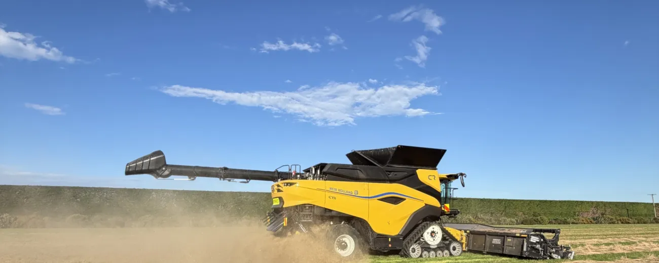 NH ryegrass at Chertsey 2026