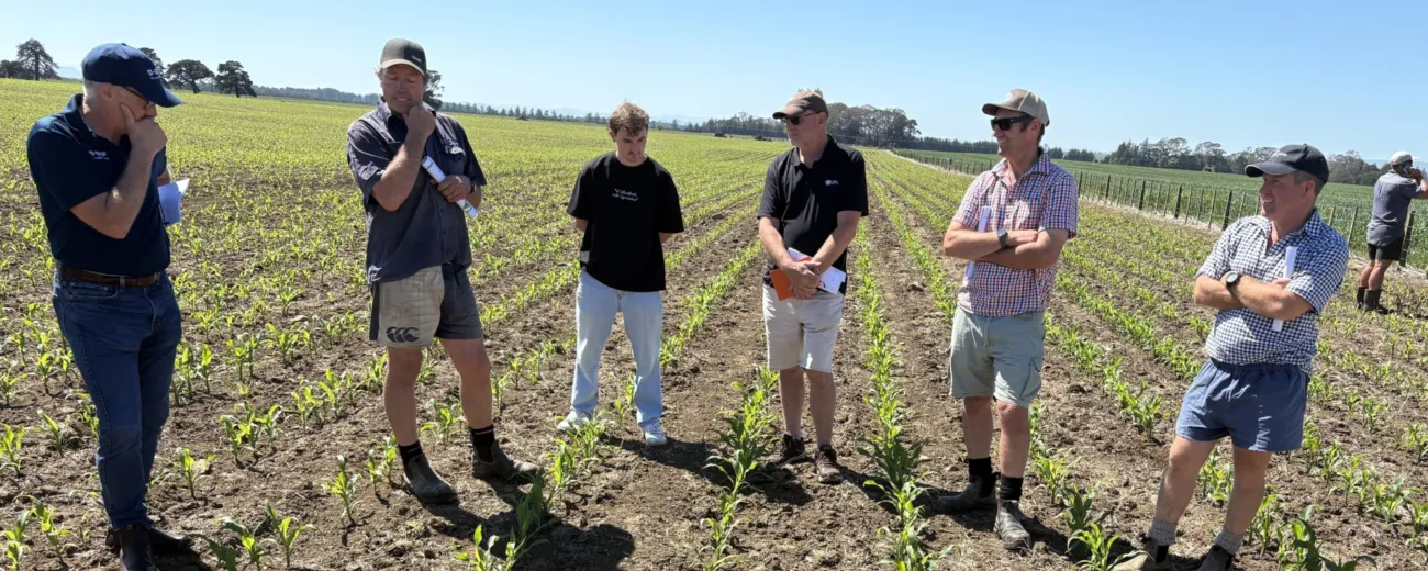 251121 Takapau field day for web