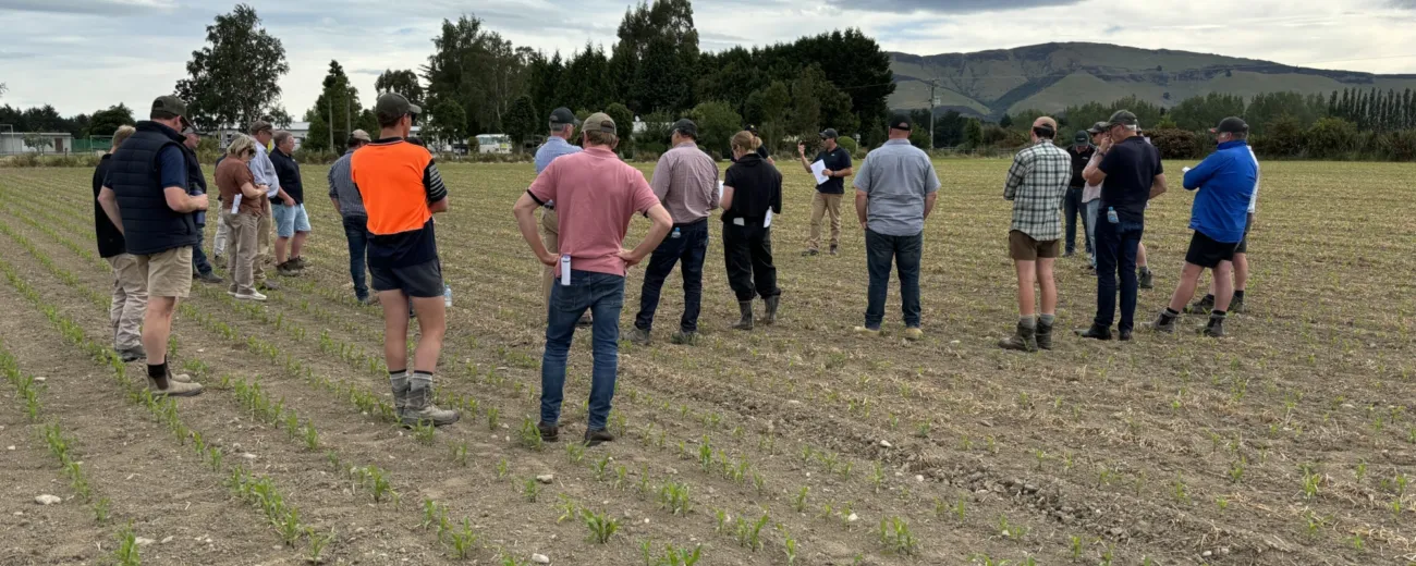2025 Knapdale field day