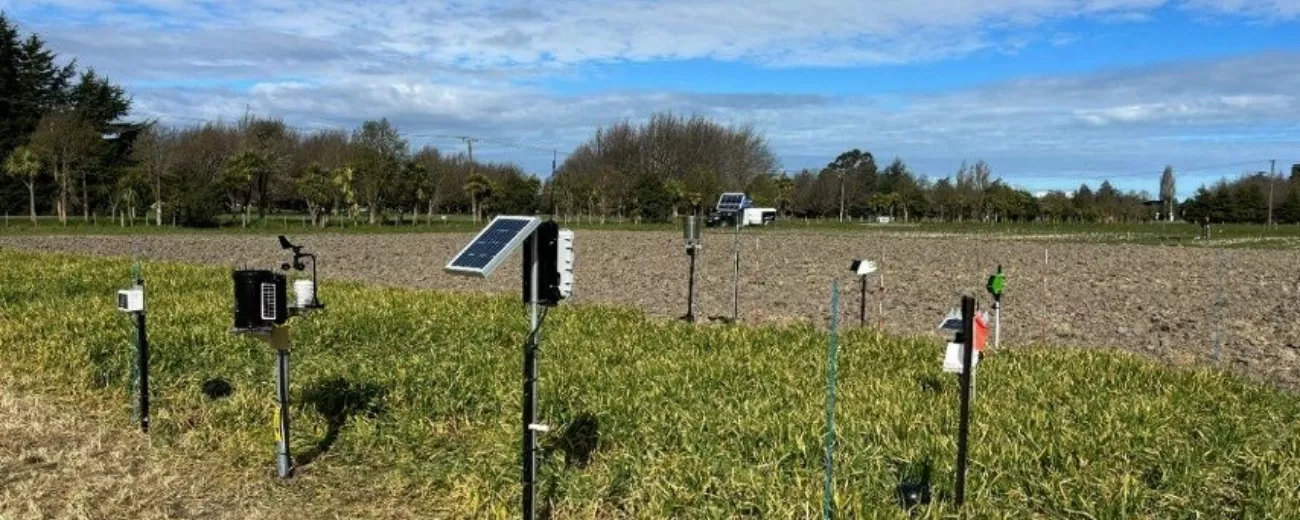 CROP ACTION 24 September