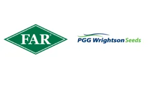 FAR x PGG seeds