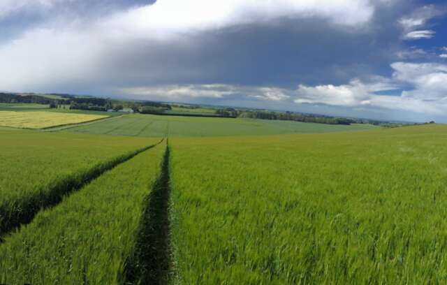 Arable-landscape.jpg