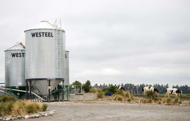 Cows-and-silos.jpg